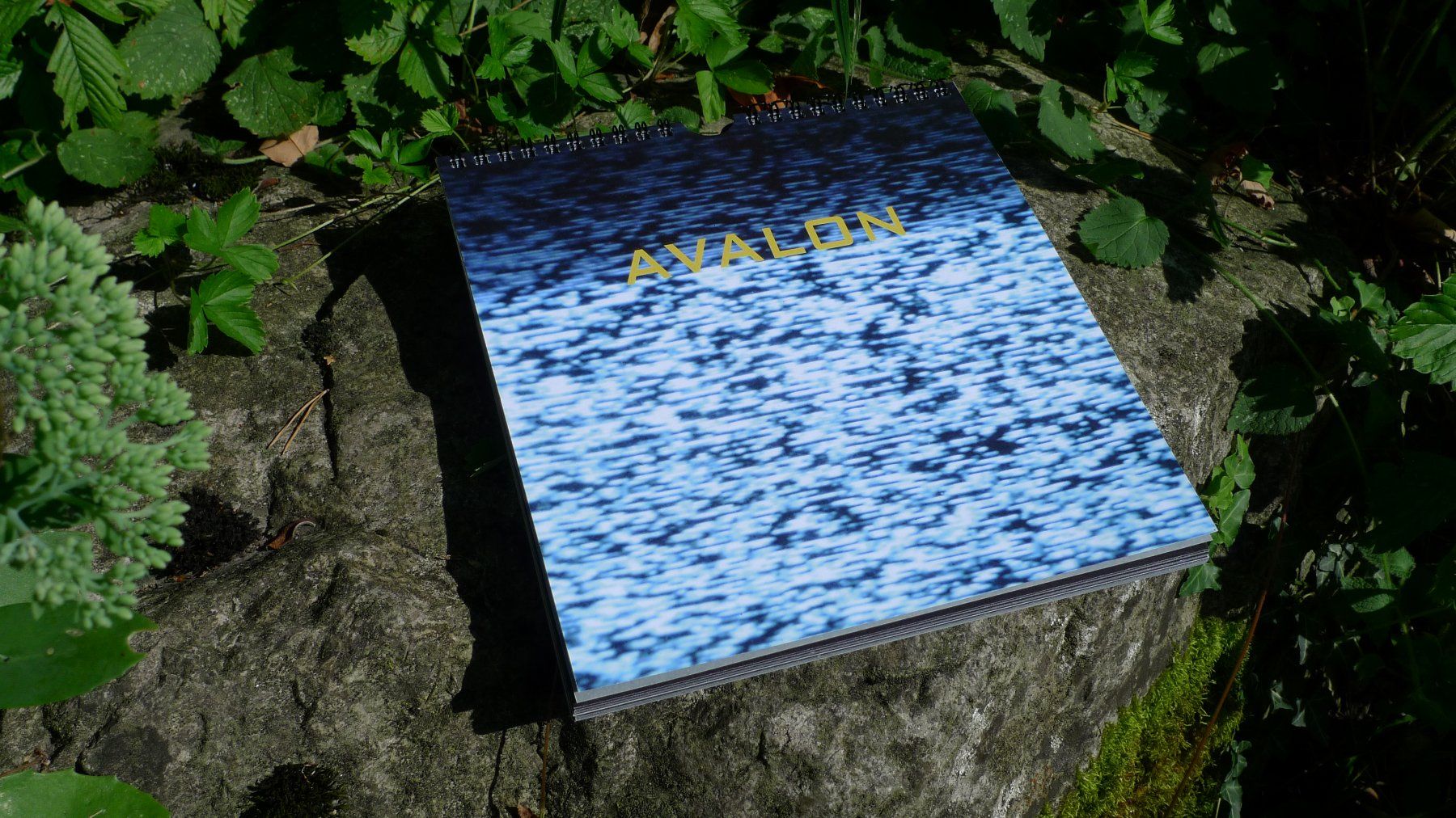 Libri: Glastonbury Eiskristalle / Avalon - Matrix – Nuovo e nell'imballaggio originale da Schaan venduto da Jtd