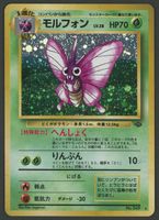 Omot Holo Jungle JAP ab 1.-