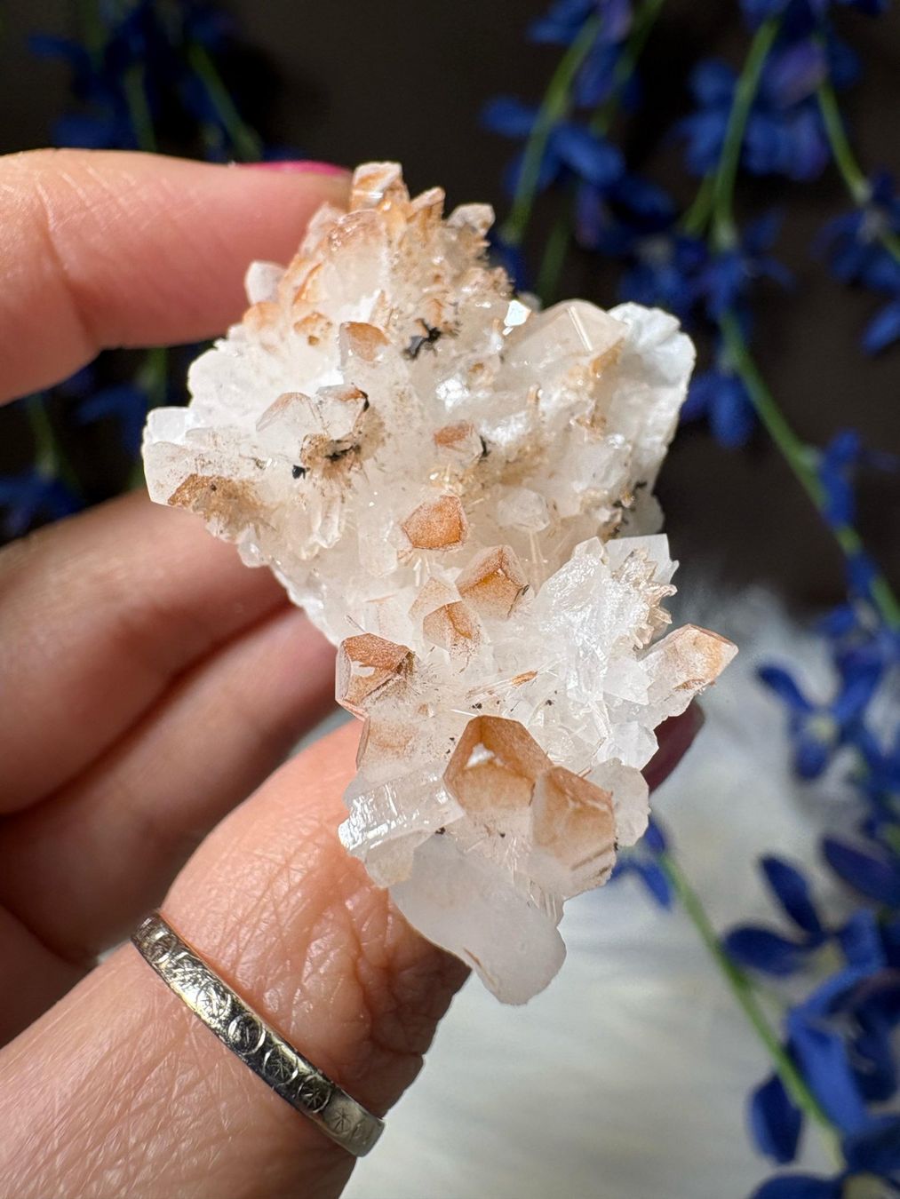 Minerali & Pietre curative: Quarz-Cluster mit rotem Hämatit – Nuovo (secondo la descrizione) da Neuheim venduto da m.hald 3