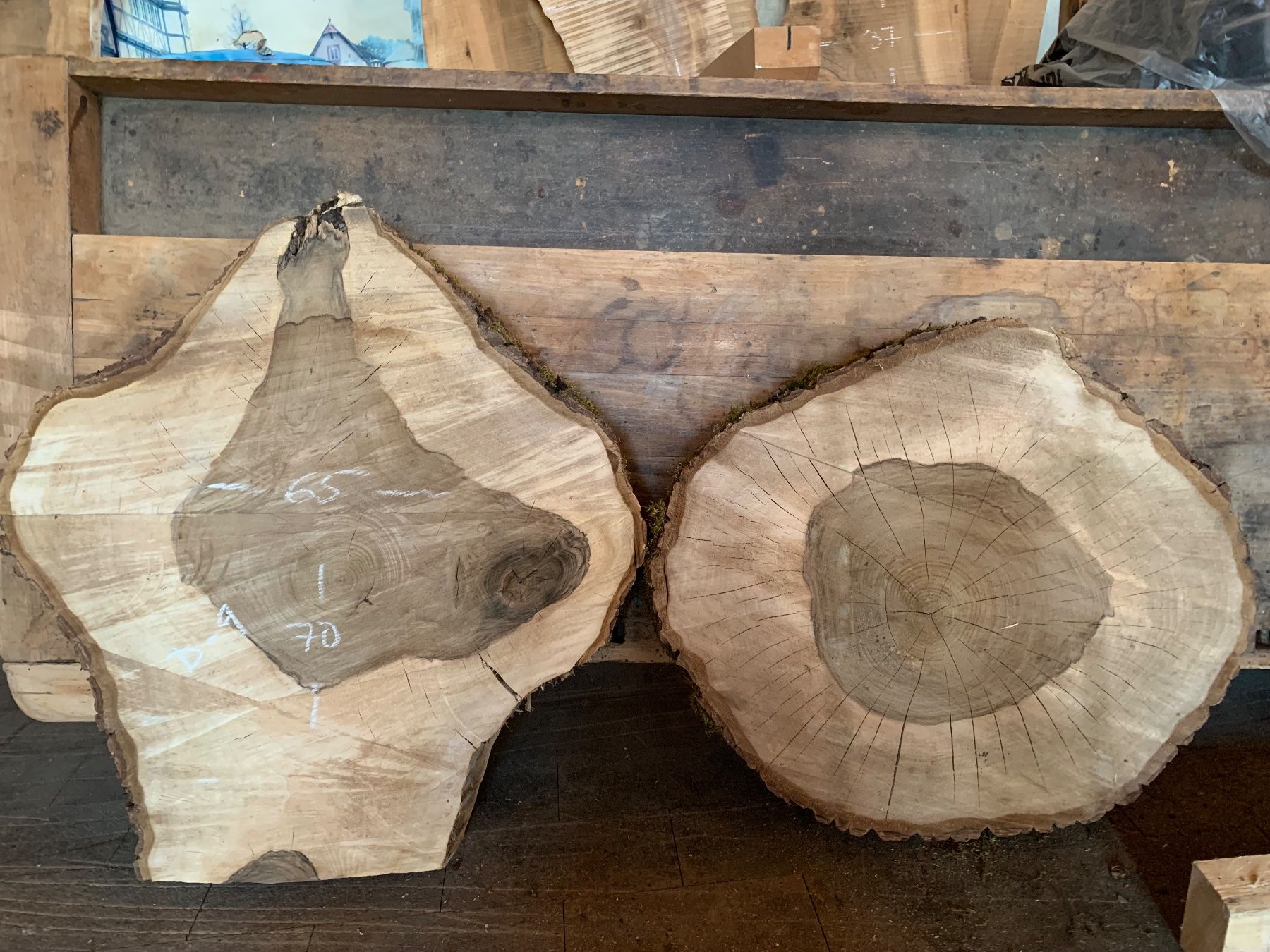 Articoli in legno: 2 Stk Baumscheibe Nussbaum / Holzscheibe – Usato da Seedorf UR venduto da Lochy 4