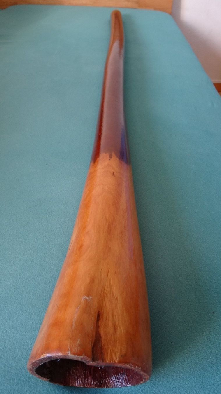 Strumenti musicali: Originales Didgeridoo vom Eukalyptusstamm....1A – Nuovo (secondo la descrizione) da Weinfelden venduto da seetern 2
