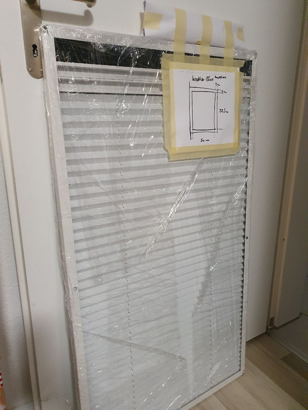 Fensterläden: Blisse, Insekten und Schatten – Gebraucht aus Winterthur von Rubinof 2