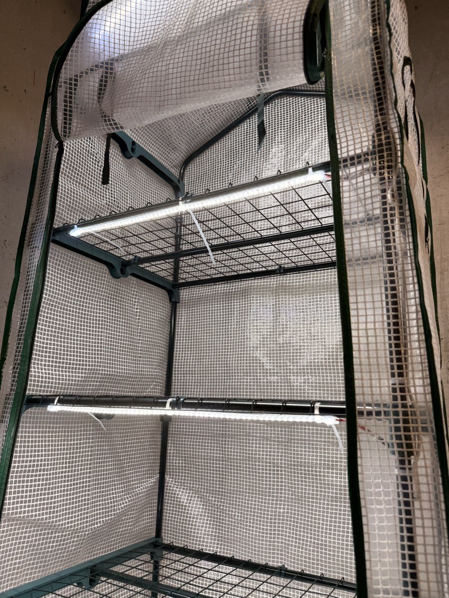 Altro: Greenhouse with Lights for microgreens or seedlings – Nuovo (secondo la descrizione) da Mellingen venduto da Sebbak 1