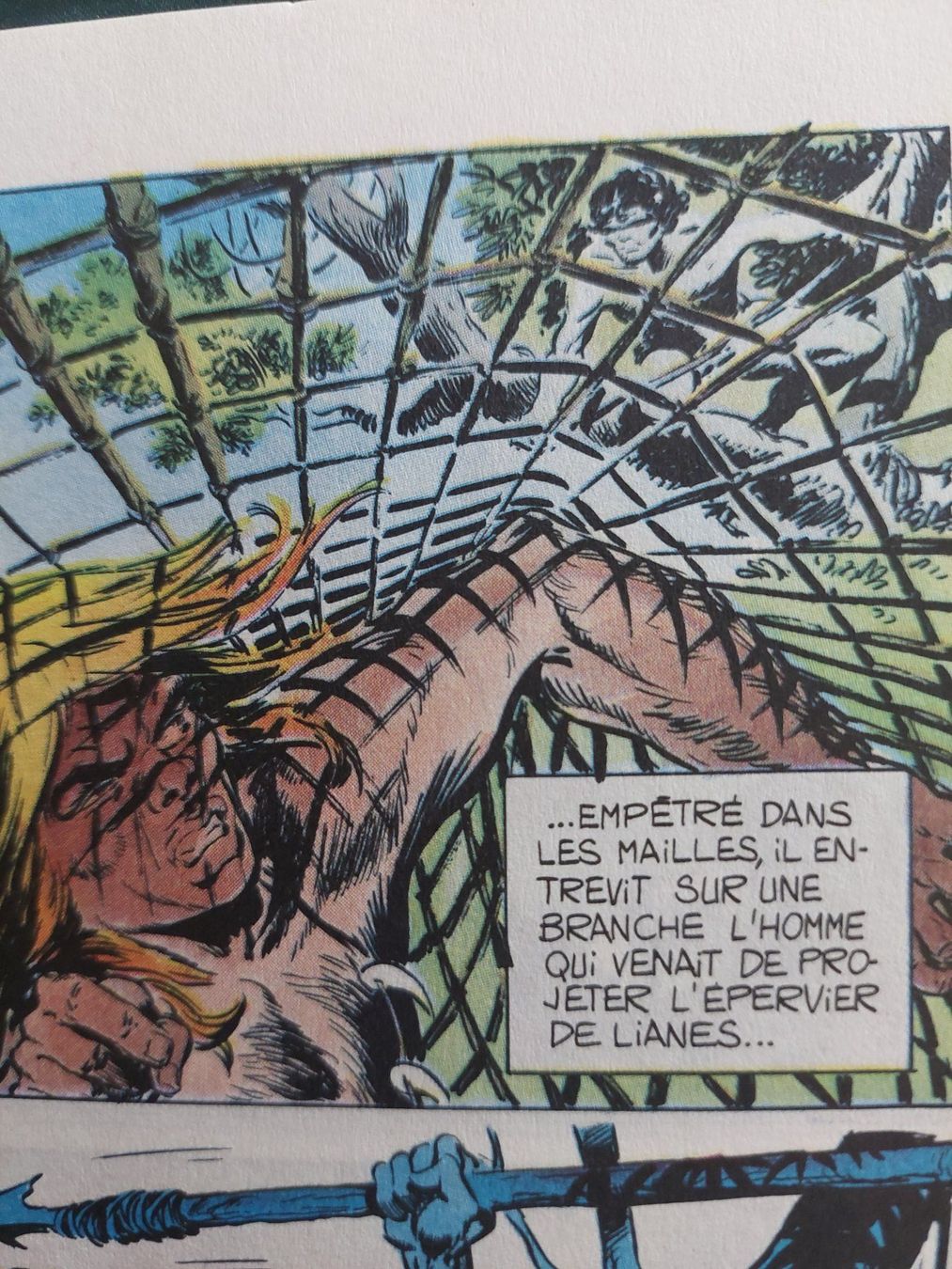 Fumetti: Rahan L'intégrale de Rahan No 10 EO 1984 BE+ – Usato da Genève venduto da Blu_BD 2