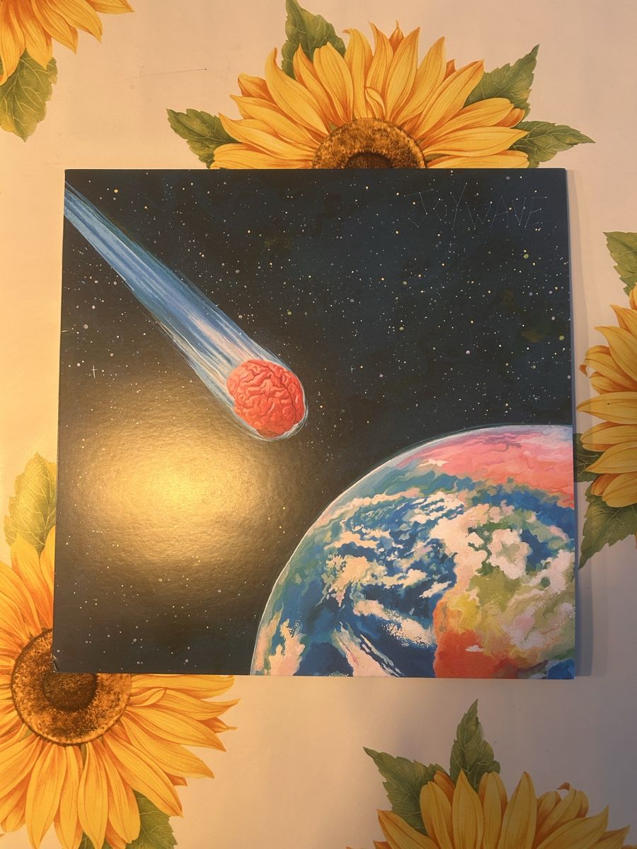 Dischi in vinile: Joywave Brain Damage Picture Vinyl Edition – Nuovo (secondo la descrizione) da Egnach venduto da SamC999