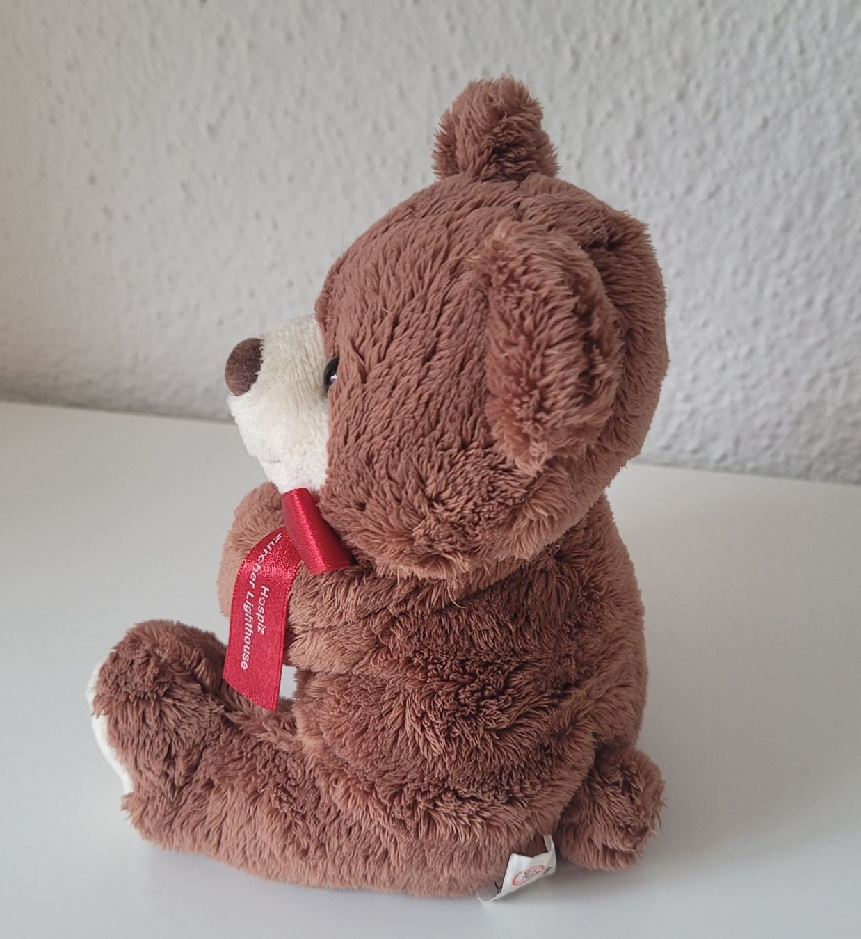Giocattoli: Teddybär Plüschbär braun – Usato da Zürich venduto da fourpaws 1