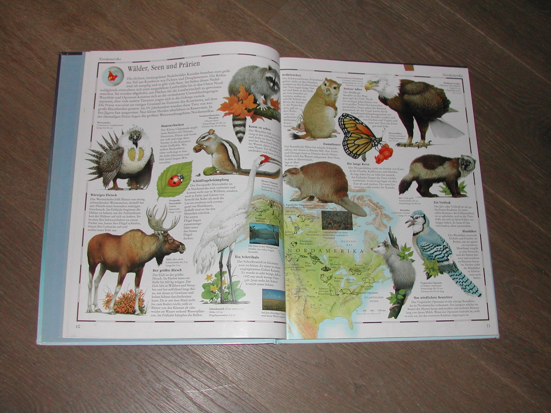 Libri: Bild Atlas der Tierwelt – Usato da Trun venduto da Romi066 3