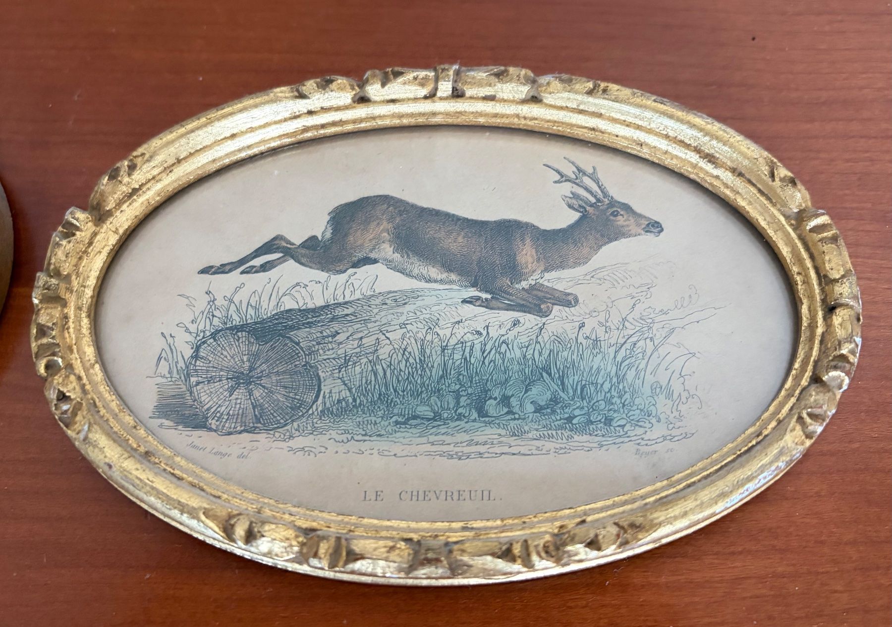 Gravures: Wolf und Hirsch Farbstich – D'occasion à Luzern par Lampion 2