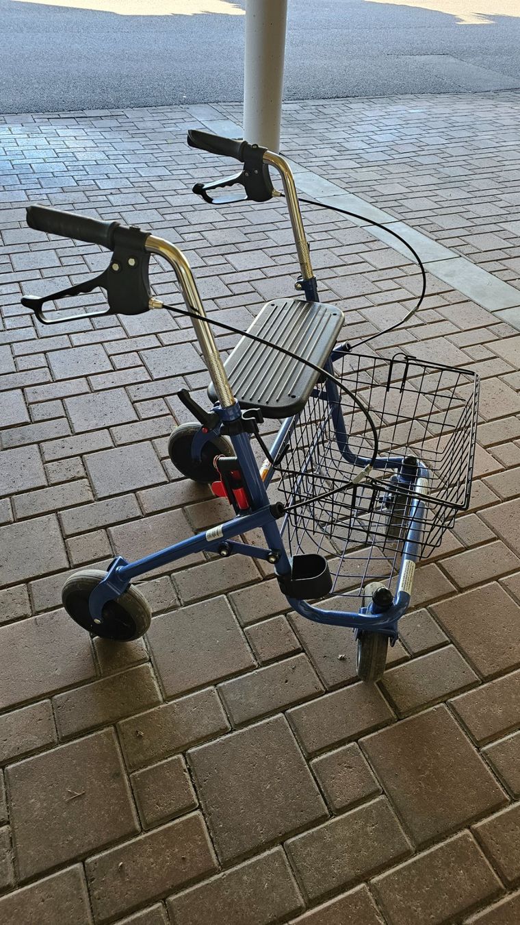 Gehhilfen: Rollator mit Sitz und Korb – Gebraucht aus Sugiez von Elyriah 2
