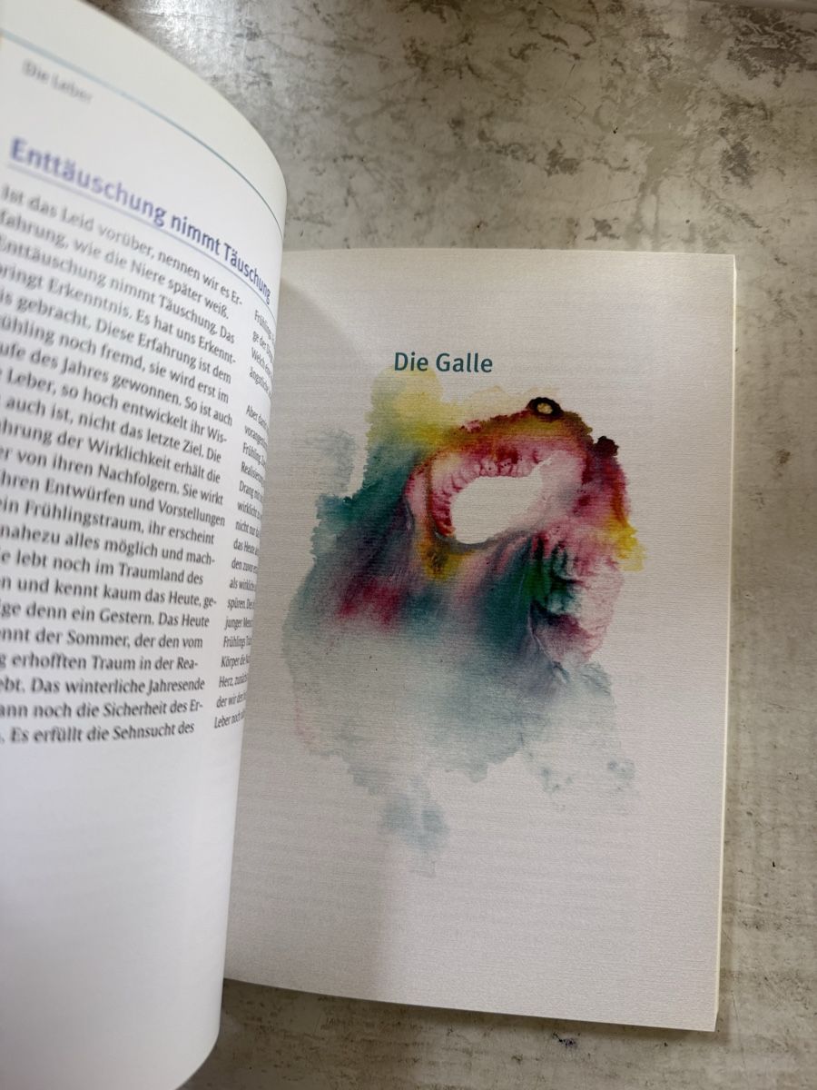 Libri: Spiegelung zwischen Körper und Seele – Usato da Dietikon venduto da Buchantiqdietikon 1