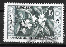 Französisch-Westafrika 1956: Kaffeestrauch