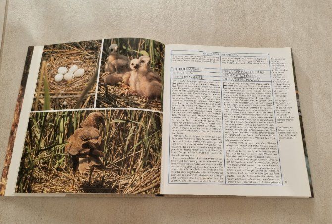 Libri: Vogelbuch "Unsere Vögel - Ihr erstaunliches Leben" – Usato da Ortschwaben venduto da Patrick1978 2