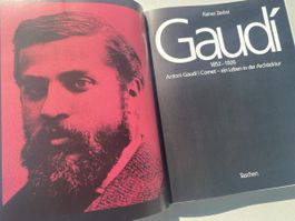 Rare Antoni Gaudi Architecture Book - Taschen