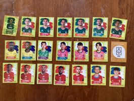 Panini FWC 2026