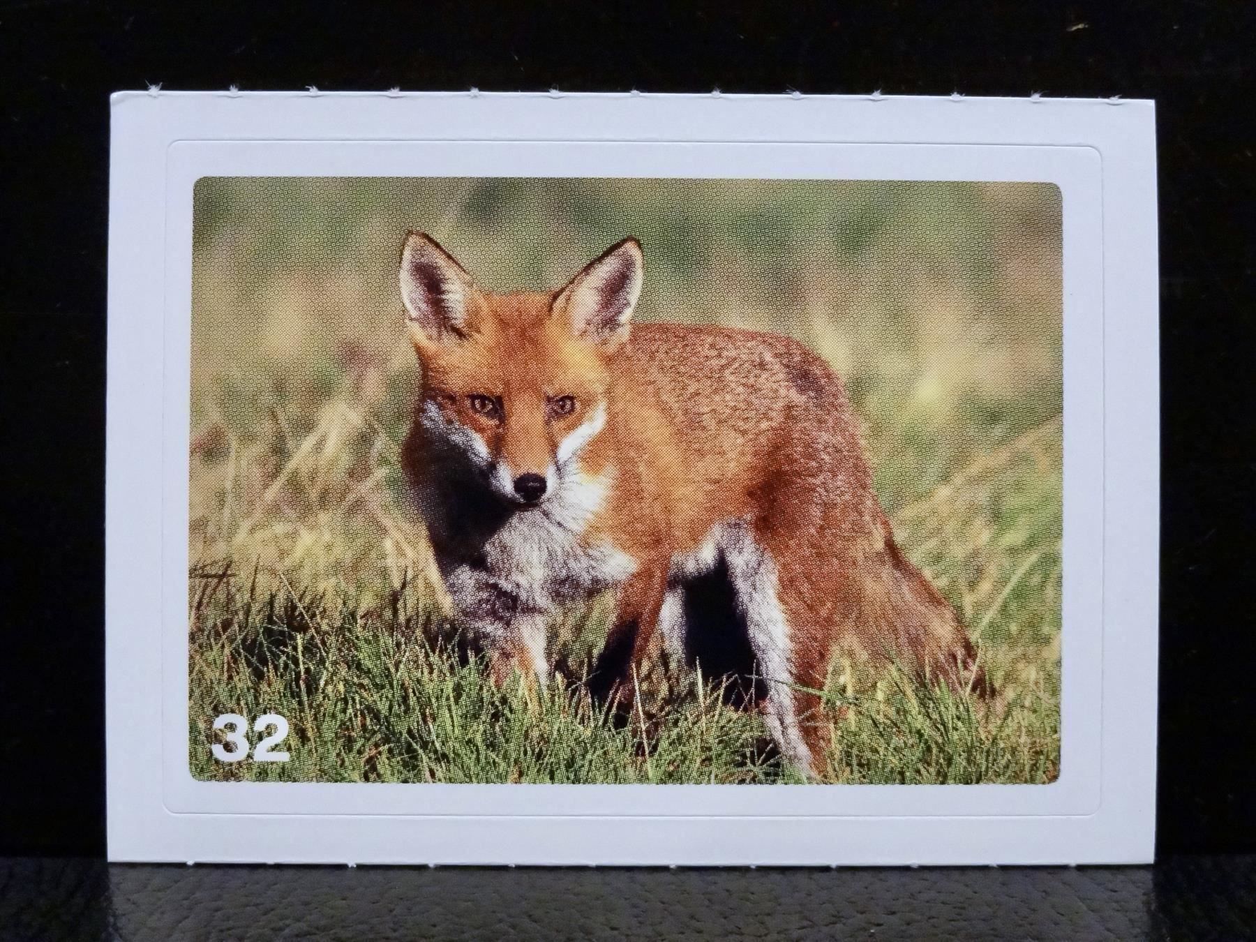 Migros Carte collezionabili: MIGROS MANIA Nature Detectives Nr. 32 – Nuovo e nell'imballaggio originale da Kerzers venduto da zimmergruen