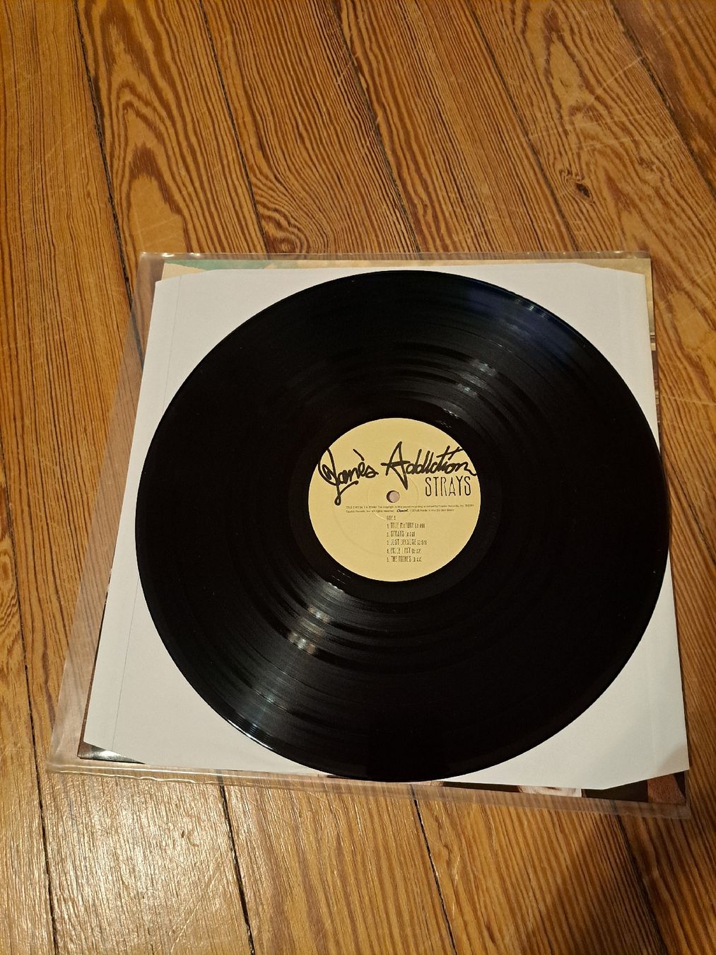 Dischi in vinile: Jane's Addiction, Strays 1LP – Usato da Genève venduto da Marci-Mcfly 2