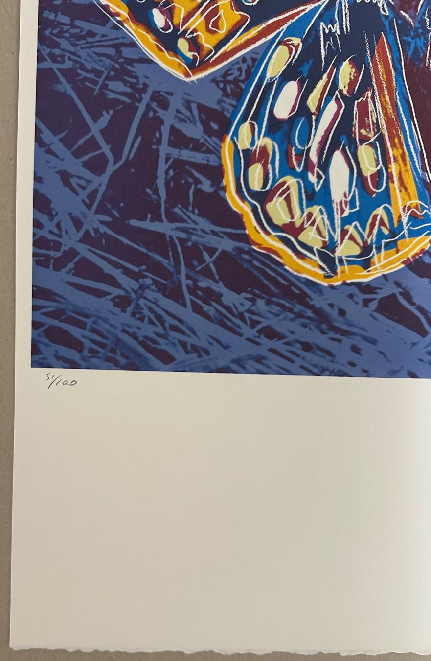 Dipinti: Warhol: Butterfly, POP Art 51/100 – Nuovo (secondo la descrizione) da Meilen venduto da Smgdesign 1