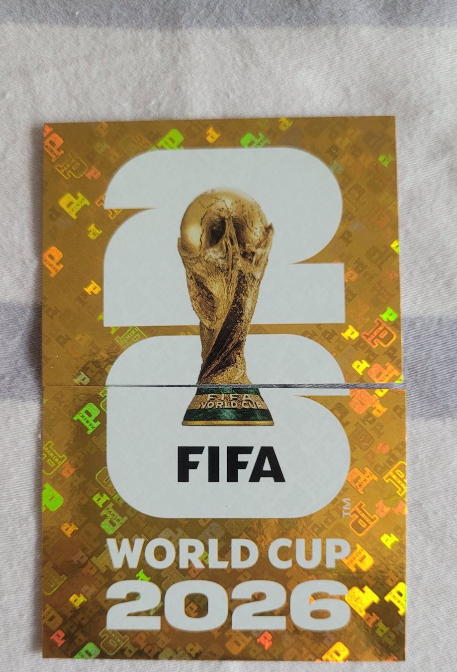 Panini Cartes à collectionner: Panini FWC 1 & FWC 2 Stickers – Neuf (Voir description) à Martigny par sil_ht2d