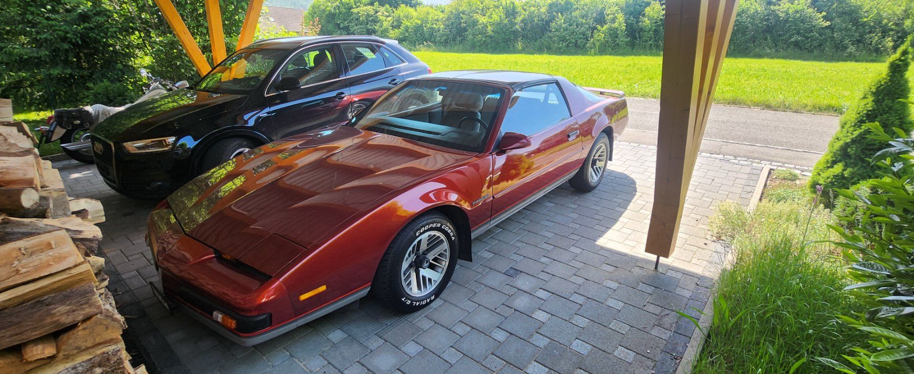 Pontiac Automobili: Pontiac Firebird – Usato da Laufen venduto da Cady58