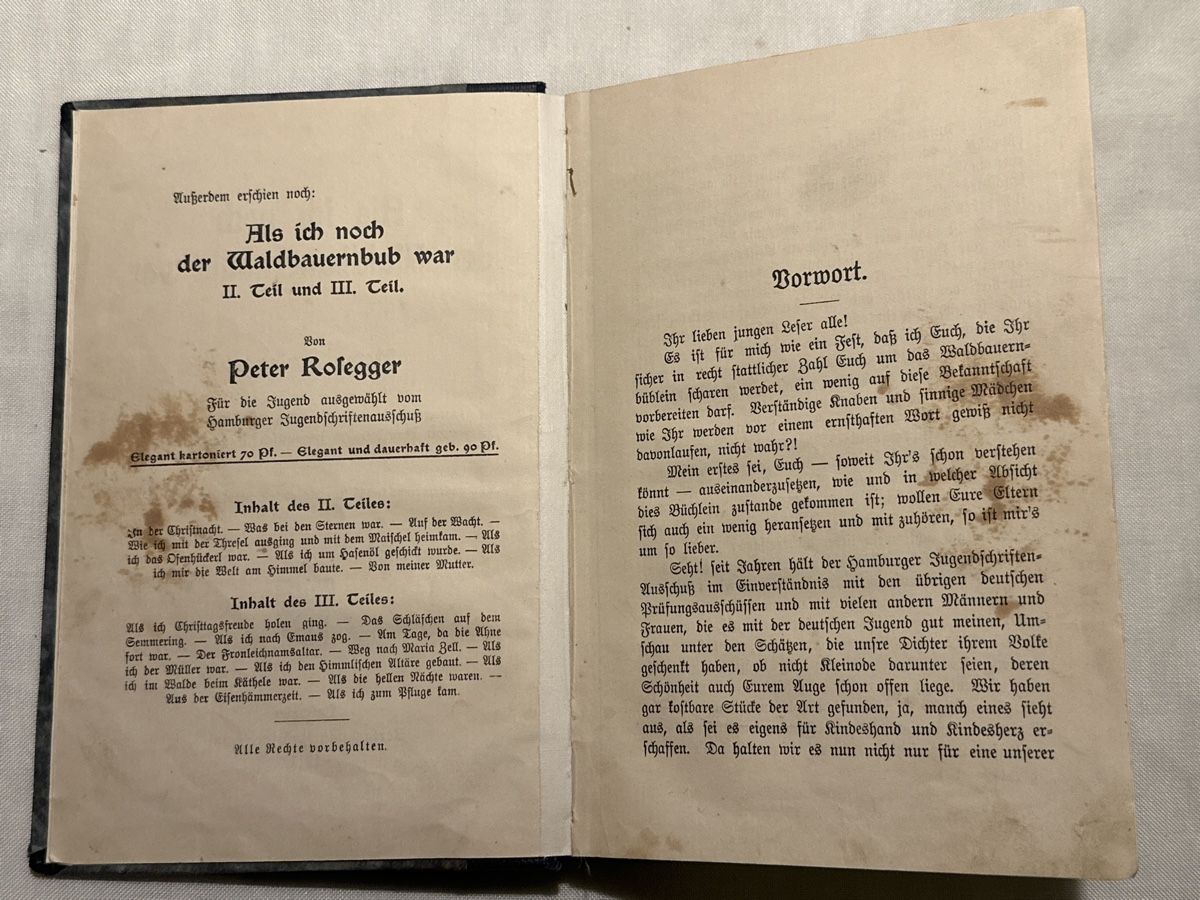 Libri: Antikes Buch "Als ich noch der Waldbaurnbub war" 1911 – Usato da Zürich venduto da Chaeffeler 2