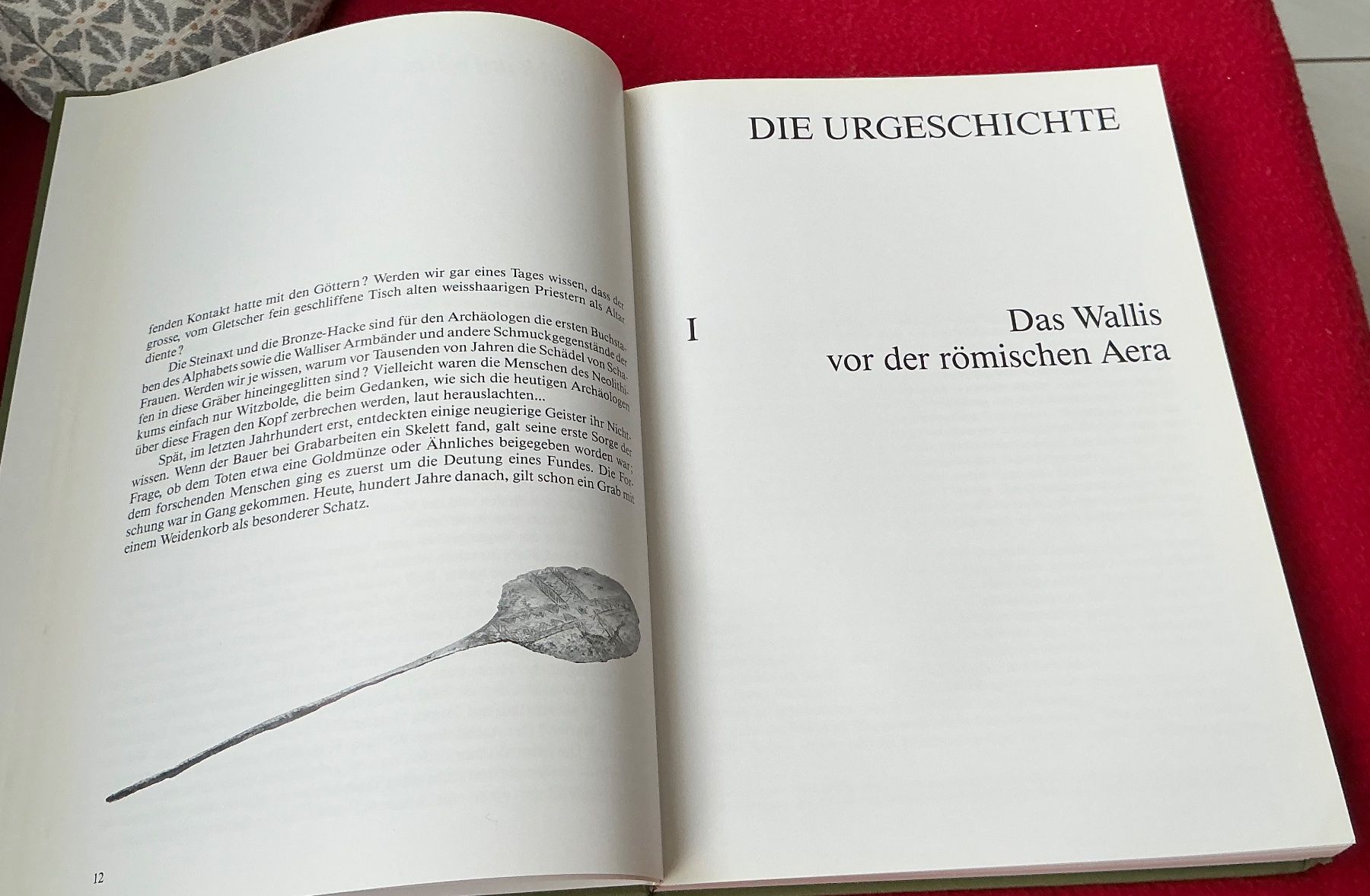 Bücher: Maurice Zermatten - Ein Panorama der Walliser Geschichte – Gebraucht aus Naters von seidengut 4
