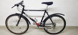 Raleigh USA City Velo 26" Gratis Liferung