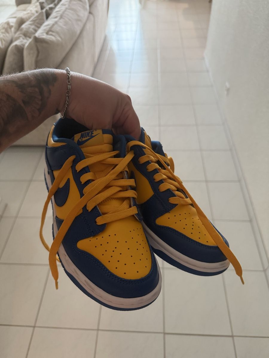Nike Scarpe da uomo: Nike Dunk Low – Usato da Bulle venduto da mon_lv9v 1