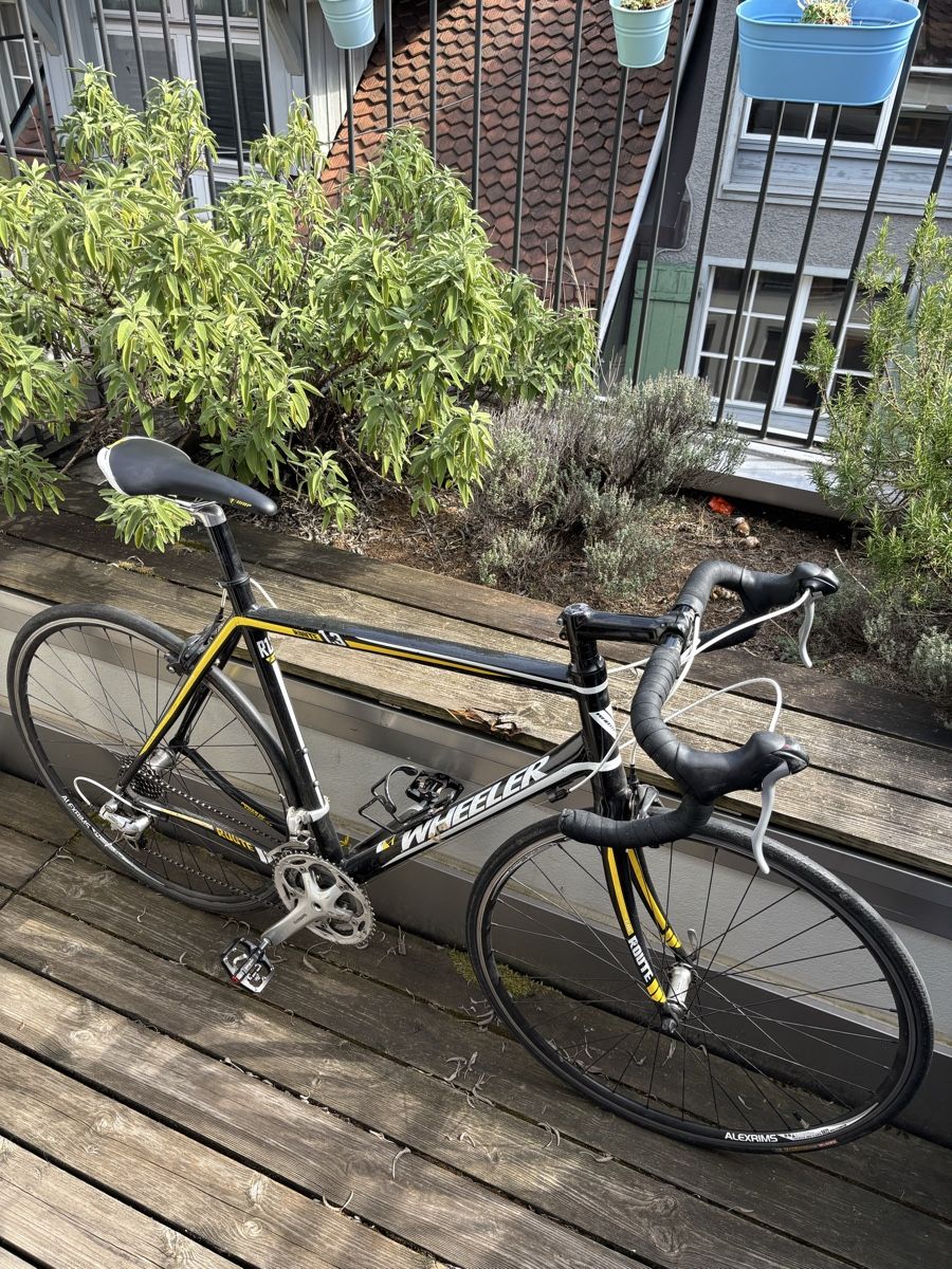 Wheeler Biciclette: Rennrad Wheeler (gebraucht) – Usato da Luzern venduto da nic_68fq 4