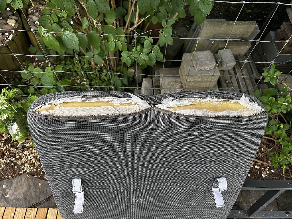 Sofas: Garten Lounge – Gebraucht aus Mannenbach-Salenstein von Remi_Rome88 3