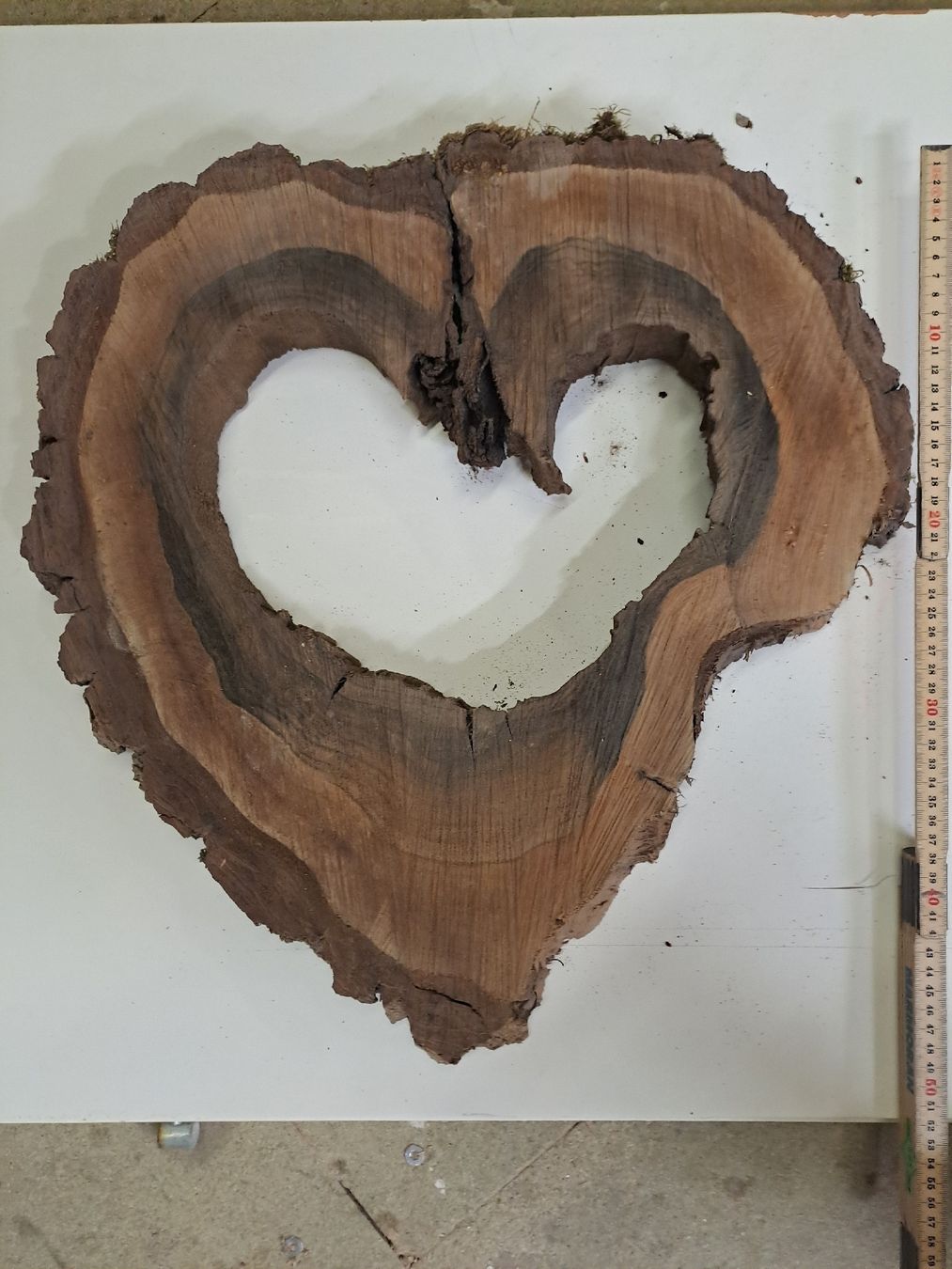 Articoli in legno: holz herz in nussbaum scheibe – Nuovo (secondo la descrizione) da Illnau venduto da adi711 1