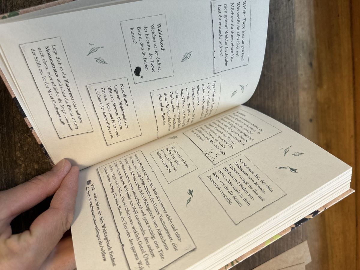 Bücher: Mein Willow Waldtagebuch  NEU – Neu (gemäss Beschreibung) aus Ettingen von rah_xgy9 4