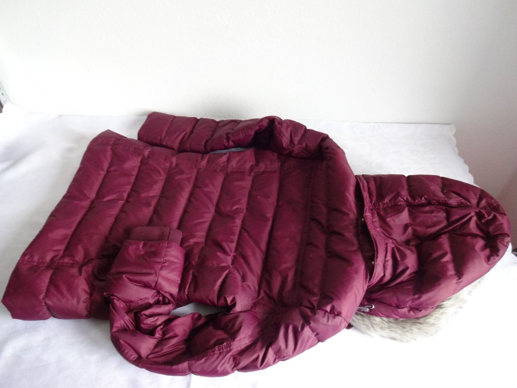 Tommy Hilfiger Giacche: Tommy Hilfiger Damen Jacke, Gr. M – Usato da Frauenfeld venduto da rey06 5