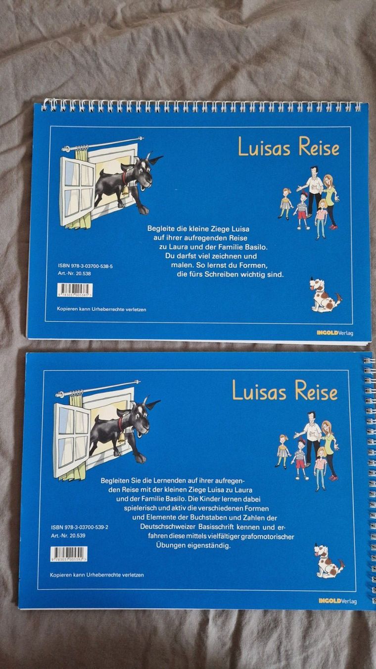 Libri: Grafomotorische Übungen – Usato da Rupperswil venduto da RoRo04 1