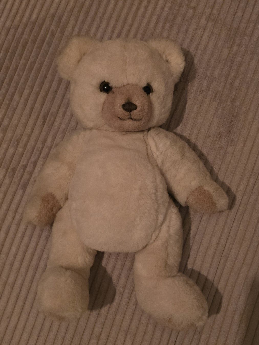 Steiff Giocattoli: Steiff Teddybär beige guter Zustand – Nuovo (secondo la descrizione) da Würenlos venduto da Lea.Maria.Hotz