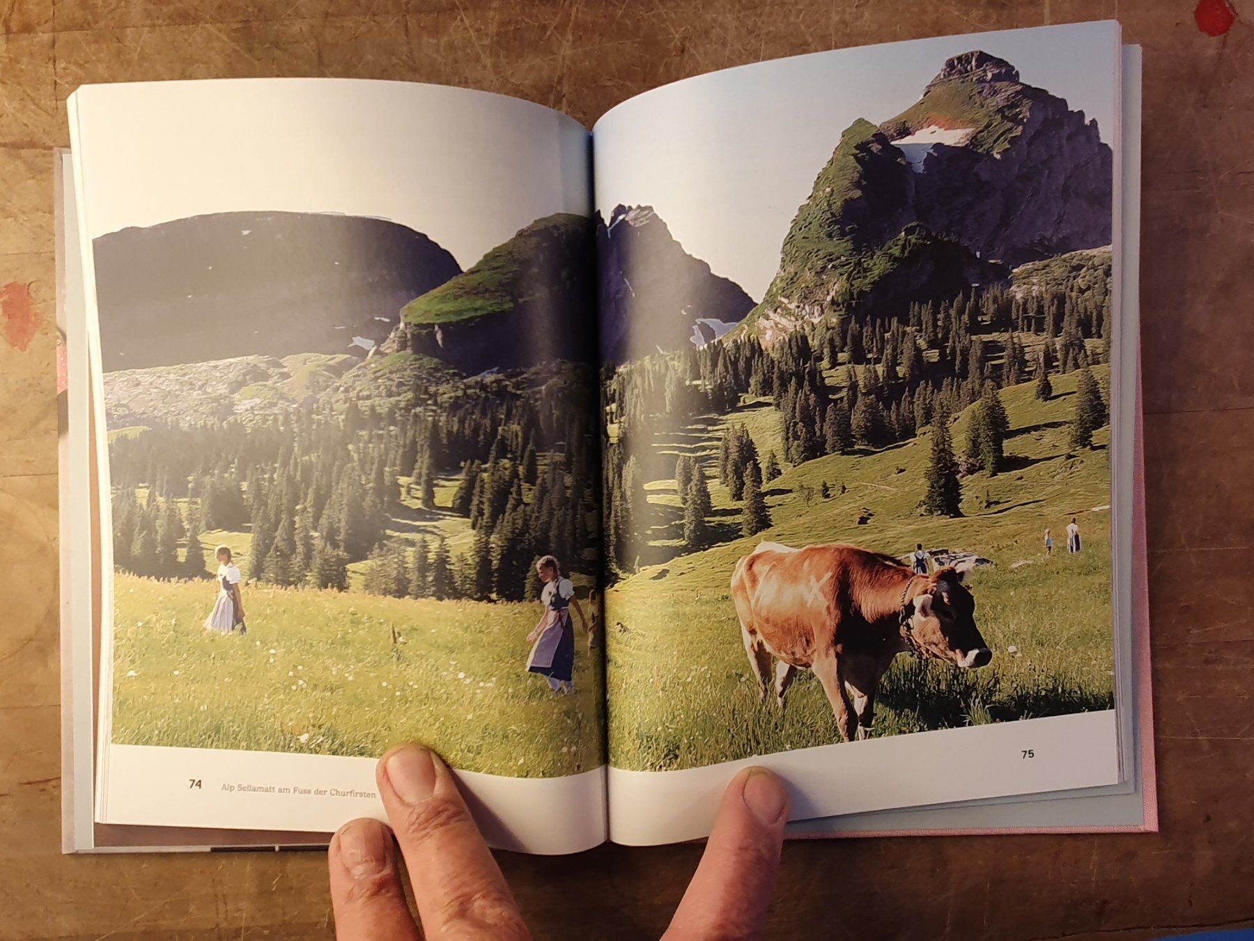 Libri: Typisch Schweiz - Lebendige Tradition in der Schweiz – Usato da Zürich venduto da loosebone 7