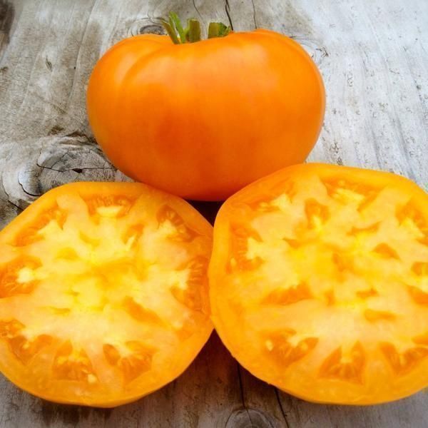 Piante & sementi: 30 Samen AMANA ORANGE Tomate – Nuovo (secondo la descrizione) da Ehrendingen venduto da VerveinaSamen 1