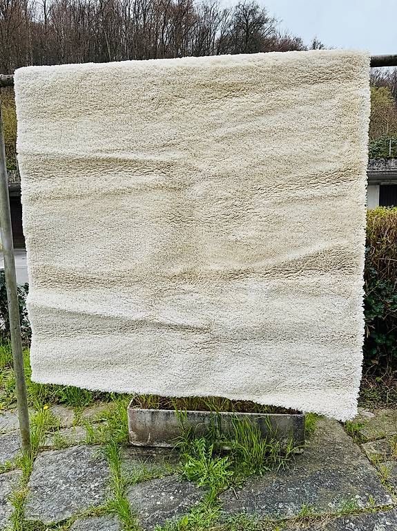 La Redoute Tappeti: Flauschiger Hochflorteppich 160x230cm – Nuovo (secondo la descrizione) da Baden venduto da ele_loli