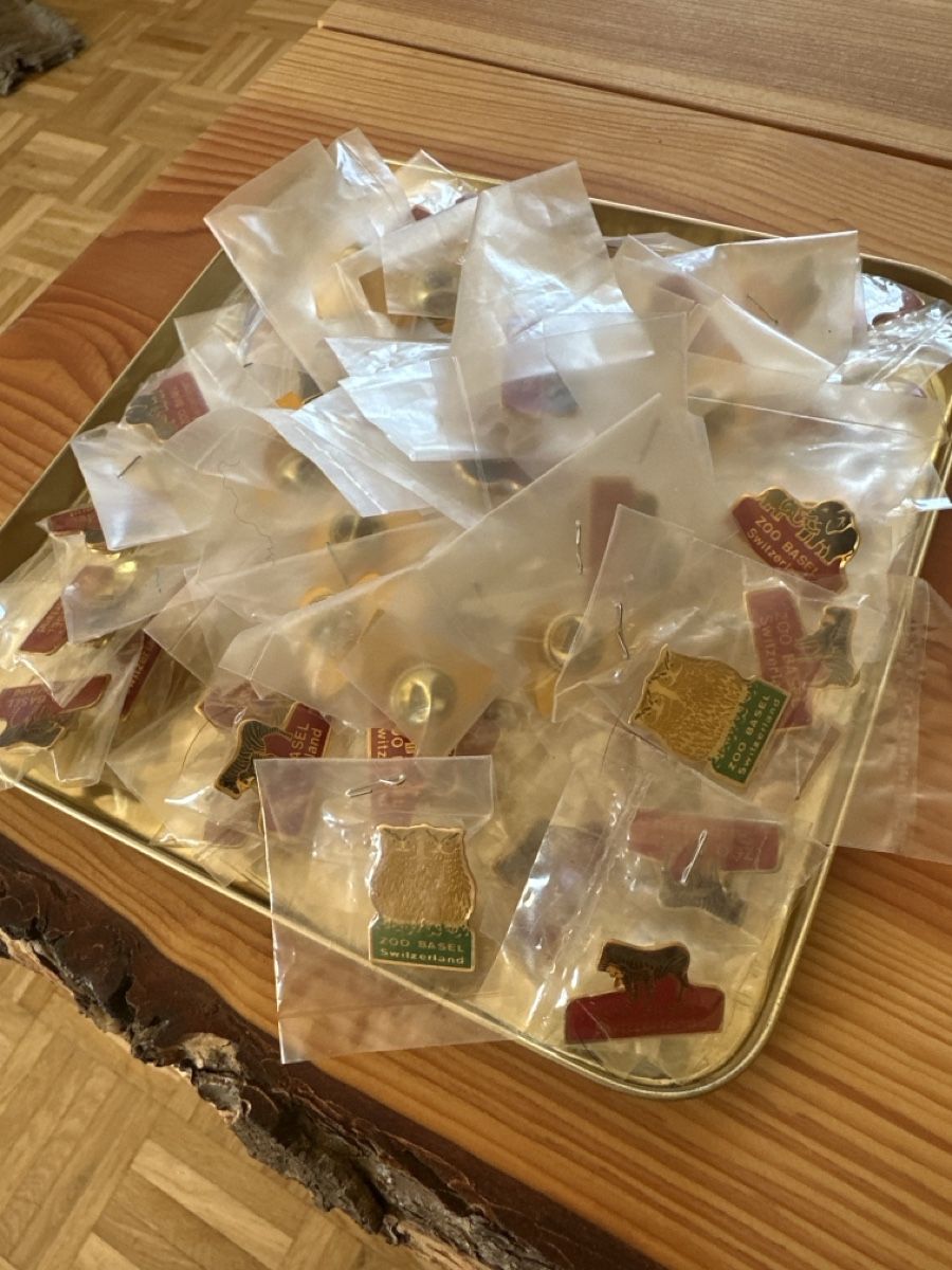 Spille & Fermagli: Zoo Basel Pins – Usato da Waldkirch venduto da RS_99 1