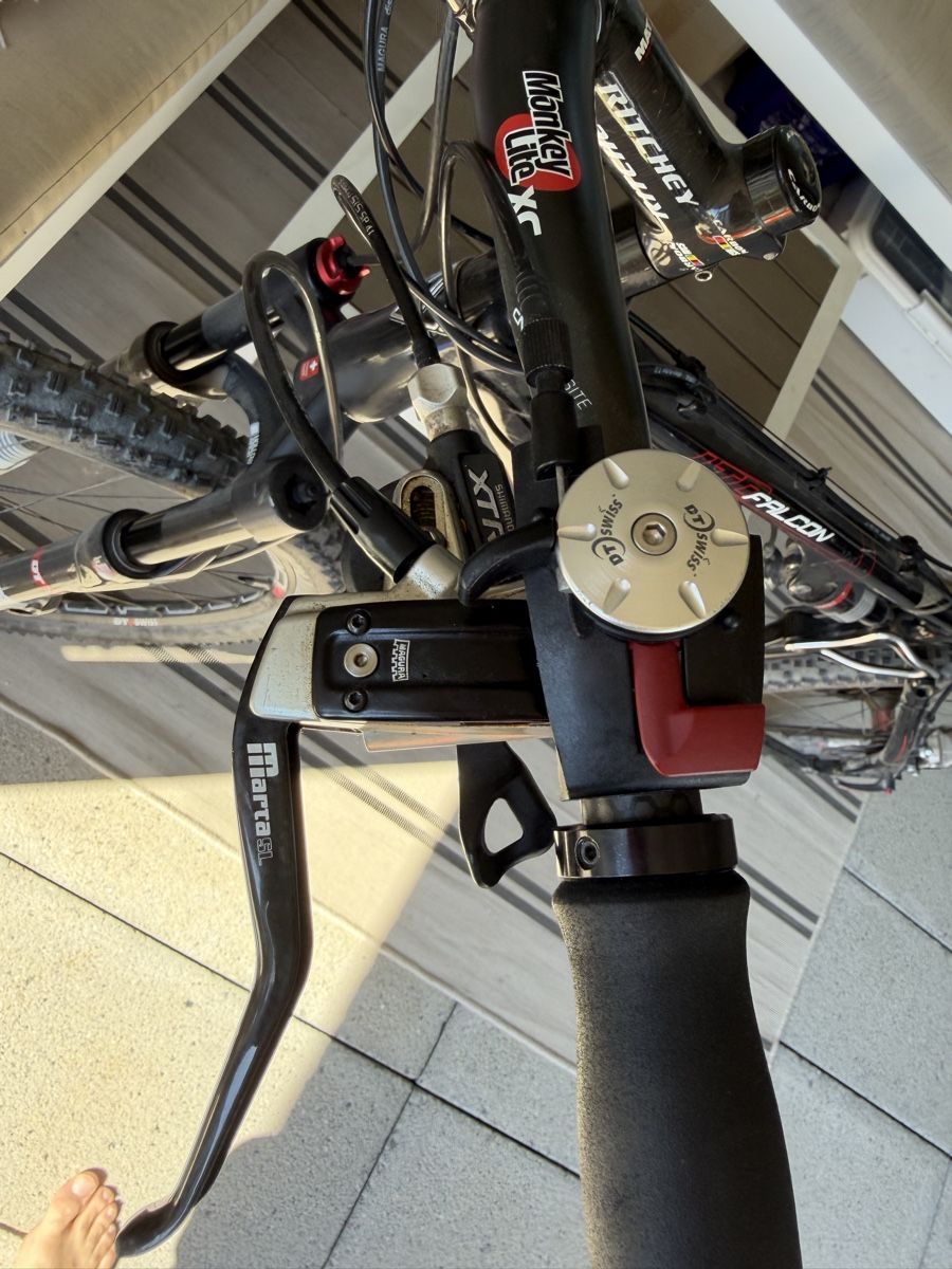 Wheeler Biciclette: Wheeler Carbon Velo, Falcon LTD, XTR – Usato da Jona venduto da Mister_N0 8