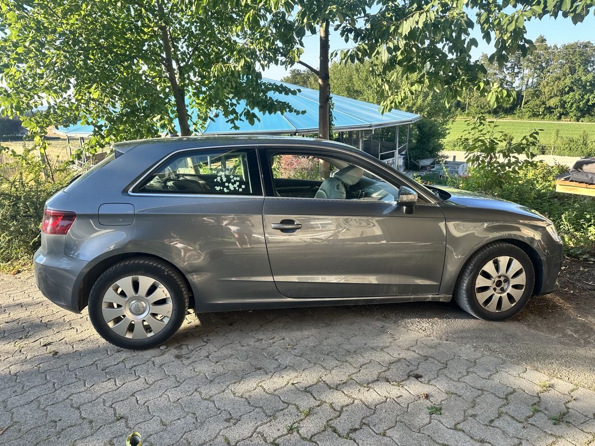 Audi Automobili: Audi A3 1.4 TSFi – Usato da Ebmatingen venduto da isabelmaiwald