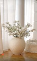 ✨Vase v. Zara✨wunderschön und groß ✨