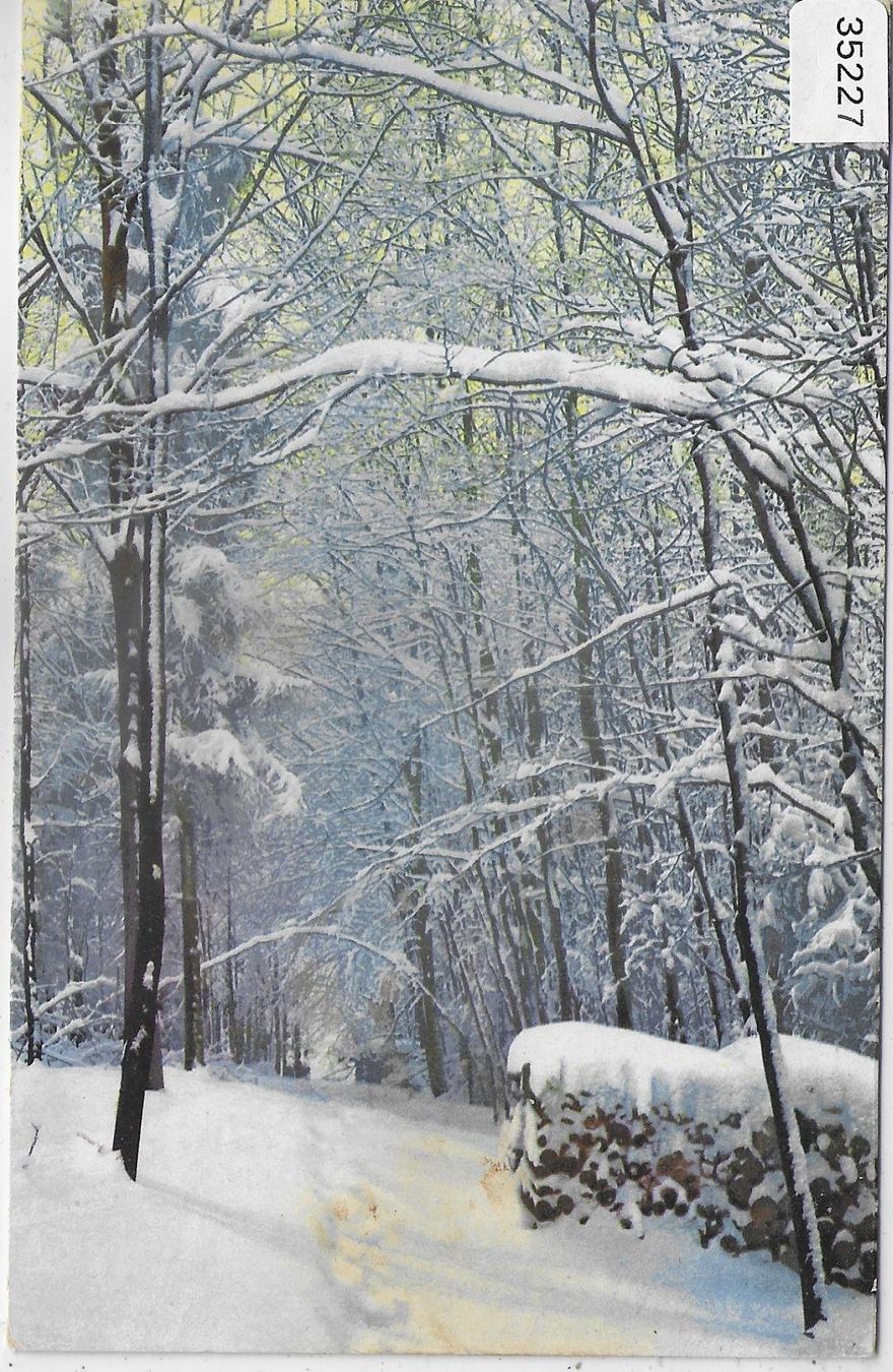 Ansichtskarten: Winterwald - Litho – Gebraucht aus Ettingen von Kartenplanet