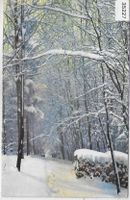 Winterwald - Litho