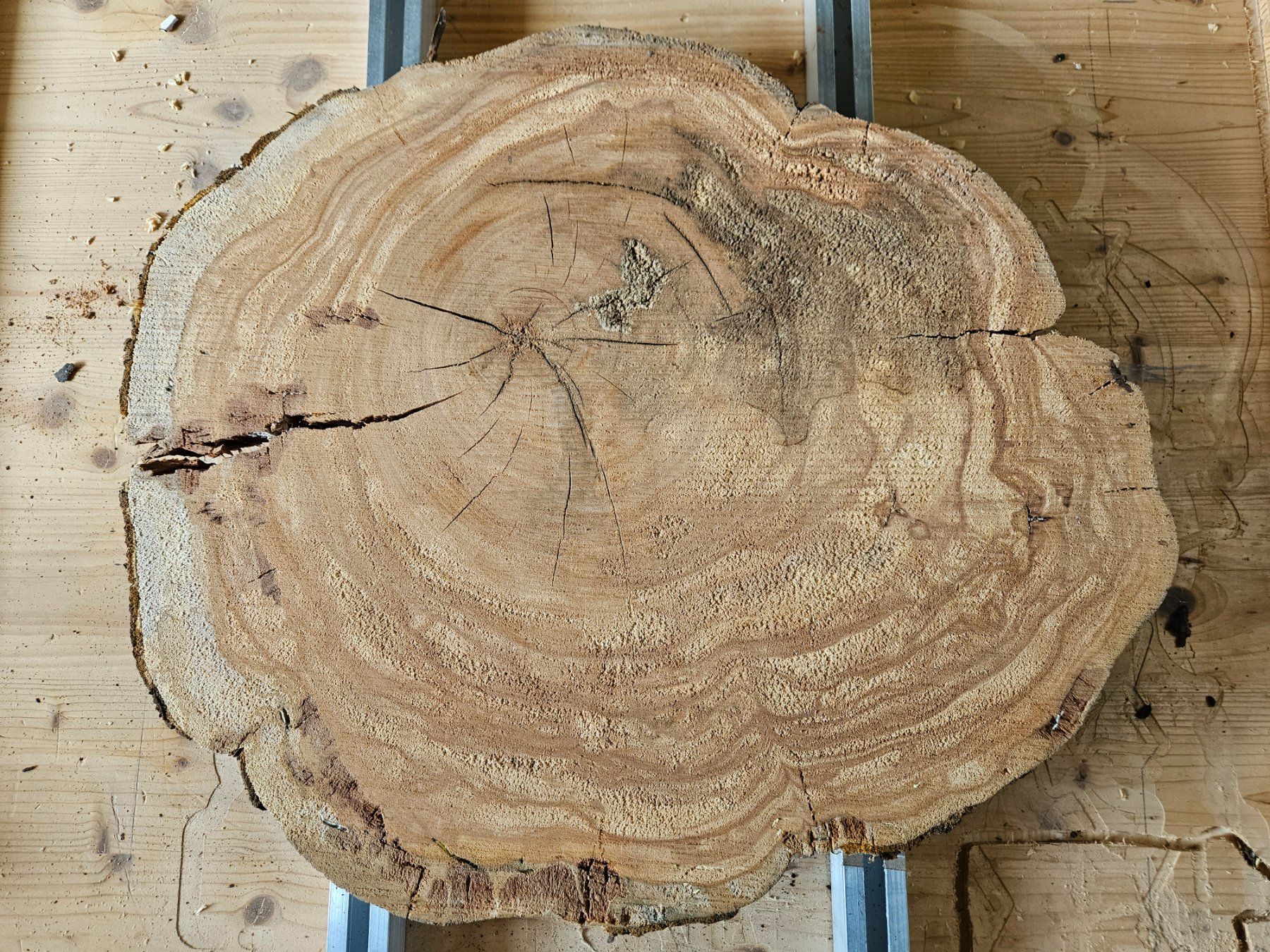 Articles en bois: Baumscheibe Kirschbaum Holz – Neuf (Voir description) à Schangnau par egli6.2 2