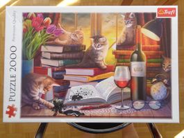 Puzzle 2000 Teile