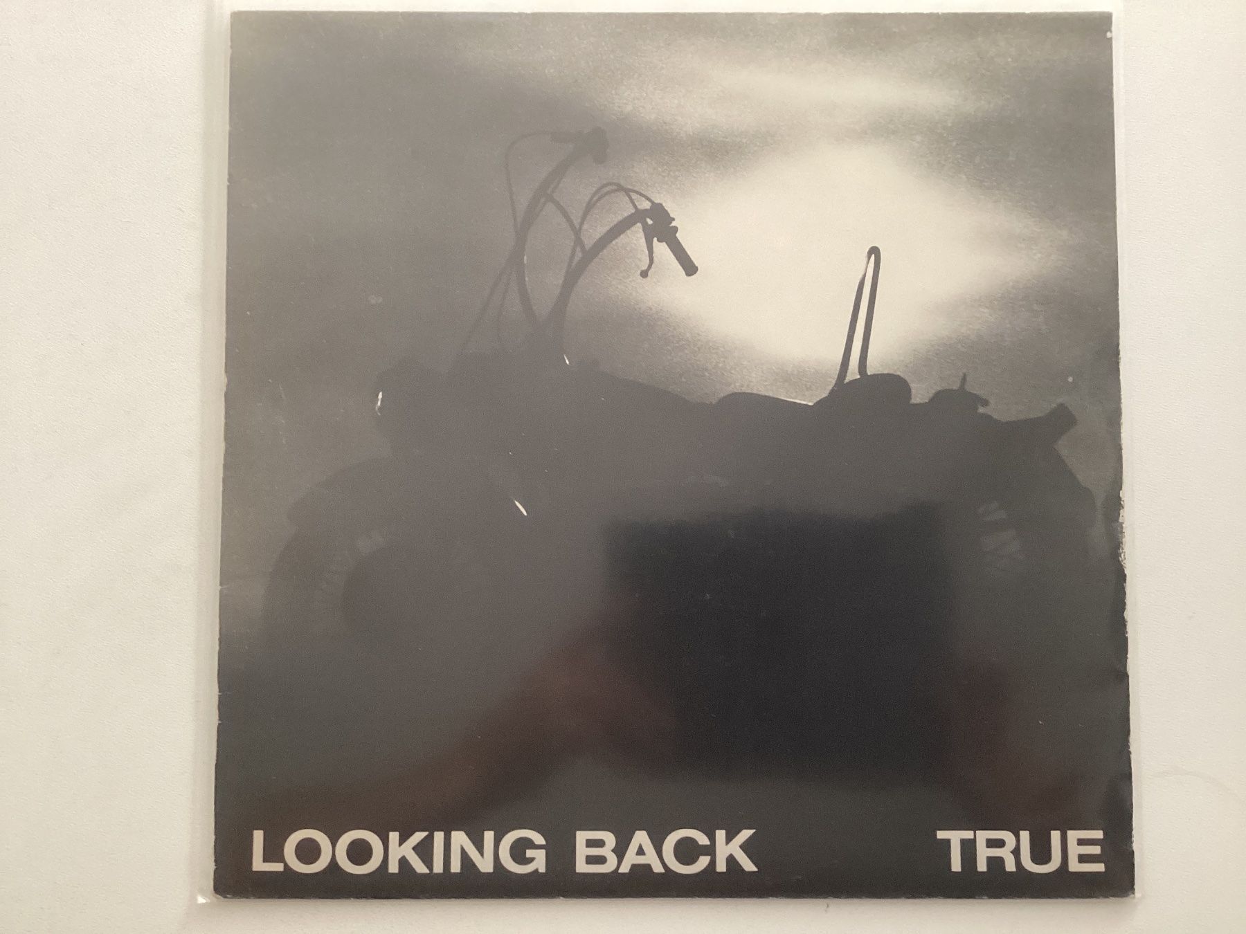 Schallplatten: True LP - Looking Back – Gebraucht aus Gutenswil von Hamzian