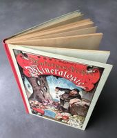 Illustrierte Mineralogie / Buch antik