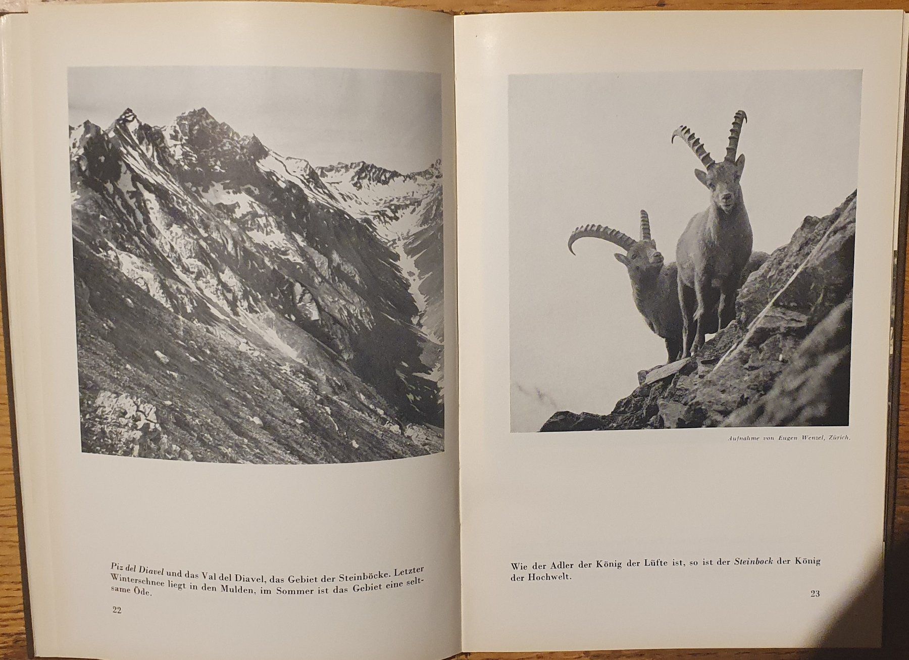 Libri: Der Schweizerische Nationalpark, 1950 – Usato da Zürich venduto da Vesco01 6