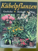 Kübelpflanzen Buch von Fritz Ecke, 1990