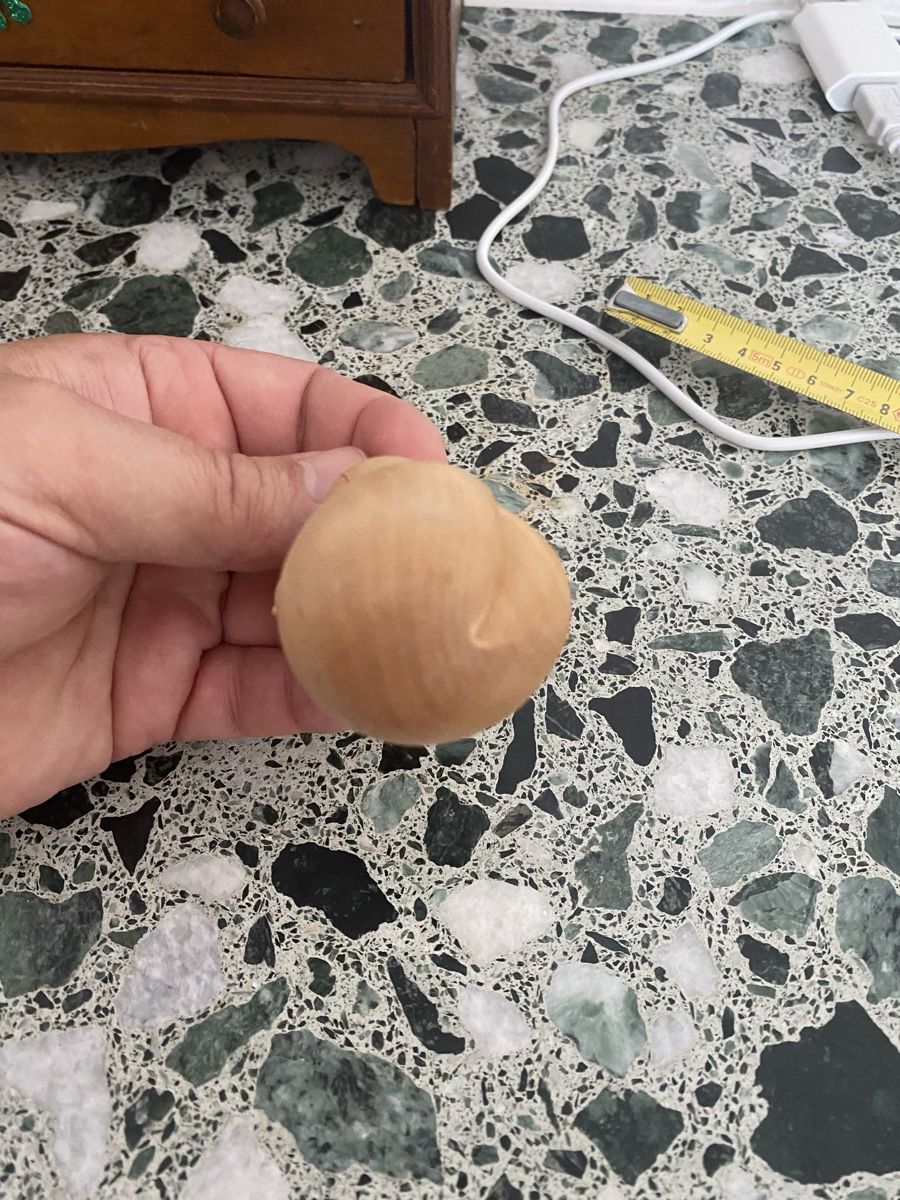 Duftöldiffusoren: Erotischer Birnen Holz diffuser  – Neu (gemäss Beschreibung) aus Berikon von Samurai67ch 6